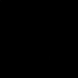 Meet your Posher, Sebastian